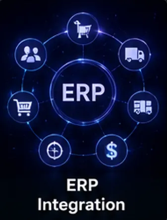 Best ERP Integration Services for Businesses | Betadrix