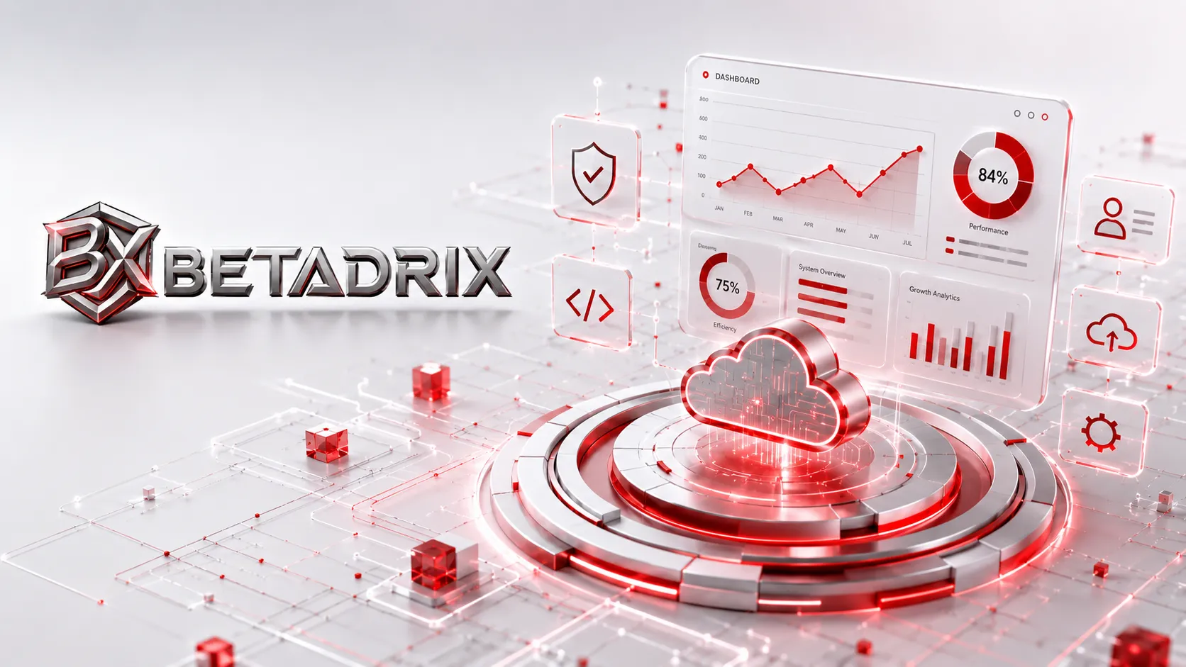 Custom Software Development Company